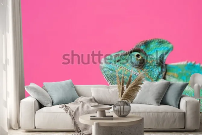 Naklejka: Zbliżenie ładny kolorowy egzotyczny kameleon na różowo