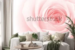 Naklejka: Zbliżenie kolorowe płatki róż na tle