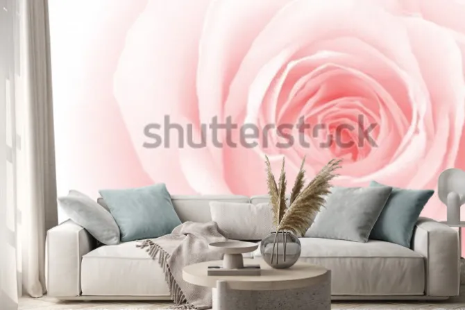 Naklejka: Zbliżenie kolorowe płatki róż na tle