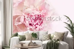 Naklejka: Zbliżenie na jasnoróżową piwonię na pastelowym tle