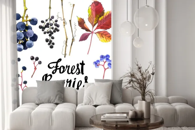 Naklejka: Zestaw akwareli dzikich winogron. kolekcja herbarium ogrodzie.