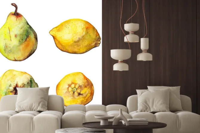 Naklejka: Zestaw akwareli cytrusy cytryna gruszka pojedyncze owoce