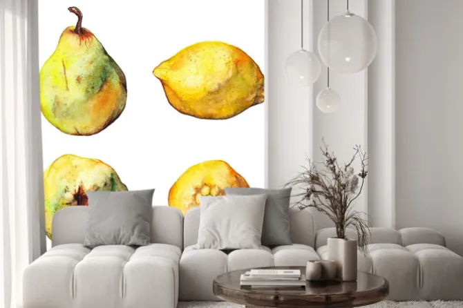 Naklejka: Zestaw akwareli cytrusy cytryna gruszka pojedyncze owoce