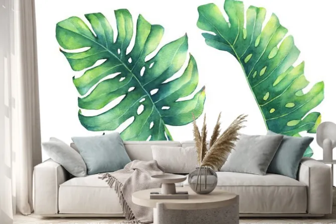 Naklejka: Zestaw dużych tropikalnych liści zielonych roślin monstera. malowane
