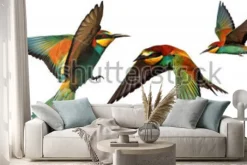 Naklejka: Zestaw ptaków kolor w locie na białym tle na białym tle