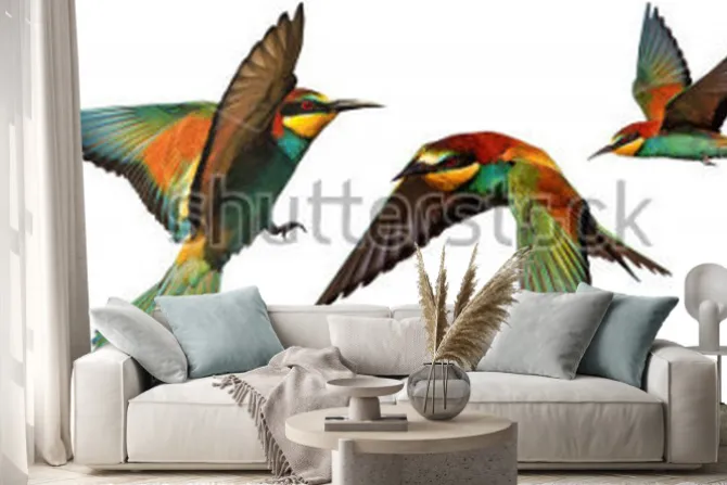 Naklejka: Zestaw ptaków kolor w locie na białym tle na białym tle