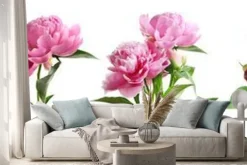 Naklejka: Zestaw różowych piwonii