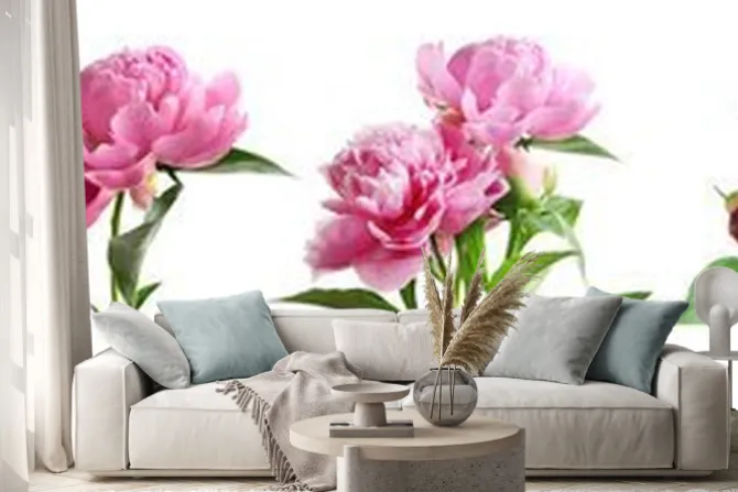 Naklejka: Zestaw różowych piwonii