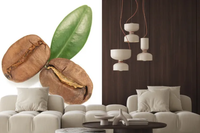 Naklejka: Ziaren kawy samodzielnie na białym tle