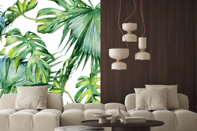 Naklejka: Zieleń na tropikalnych liściach monstery