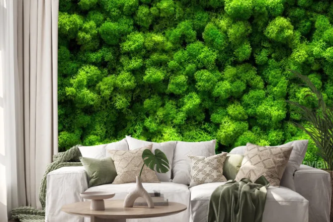 Naklejka: Zielona ściana z mchu