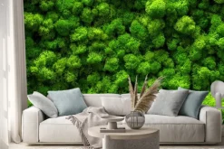 Naklejka: Zielona ściana z mchu