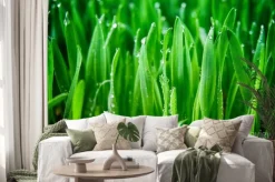 Naklejka: Zielona trawa