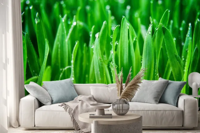 Naklejka: Zielona trawa