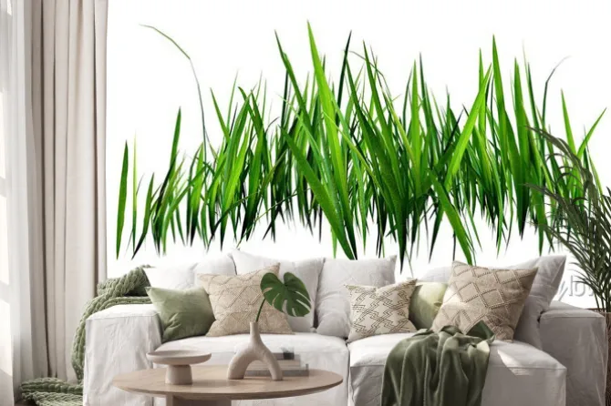 Naklejka: Zielona trawa na białym tle roślinna grafika