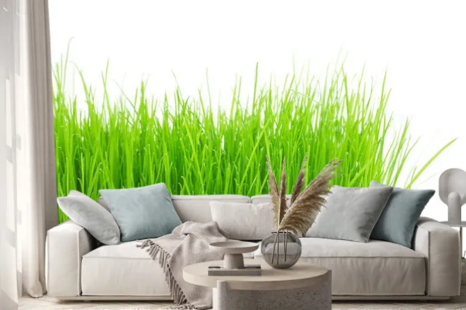 Naklejka: Zielone źdźbła trawy