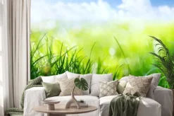 Naklejka: Zielone źdźbła trawy z bliskiej perspektywy