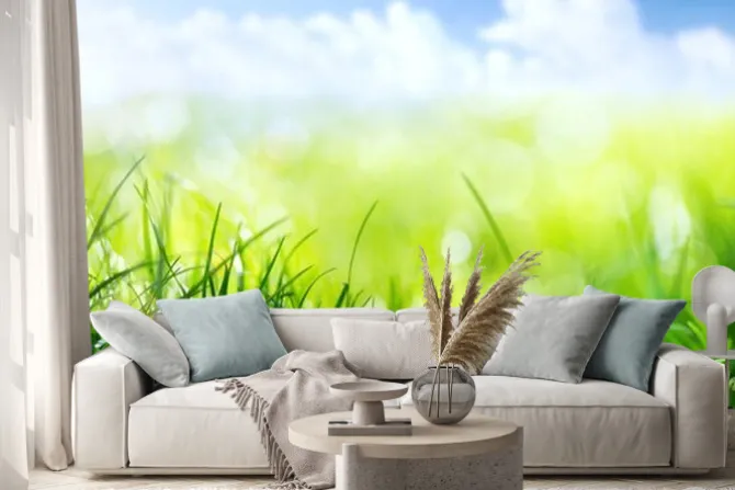 Naklejka: Zielone źdźbła trawy z bliskiej perspektywy