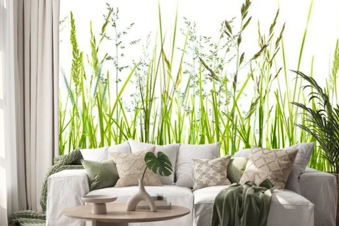 Naklejka: Zielone źdźbła trawy