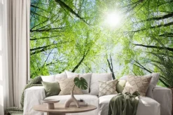 Naklejka: Zielone drzewa