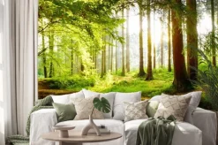 Naklejka: Zielony las oświetlony wiosennym słońcem