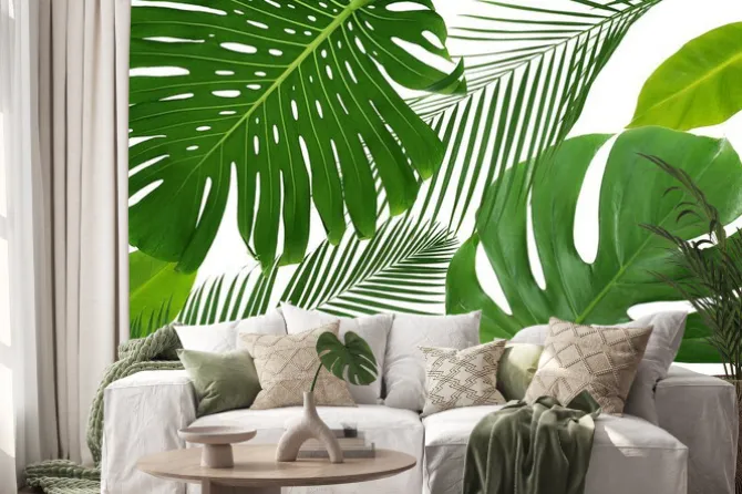 Naklejka: Zielony tropikalnych liści na białym tle