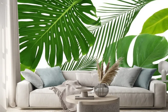 Naklejka: Zielony tropikalnych liści na białym tle