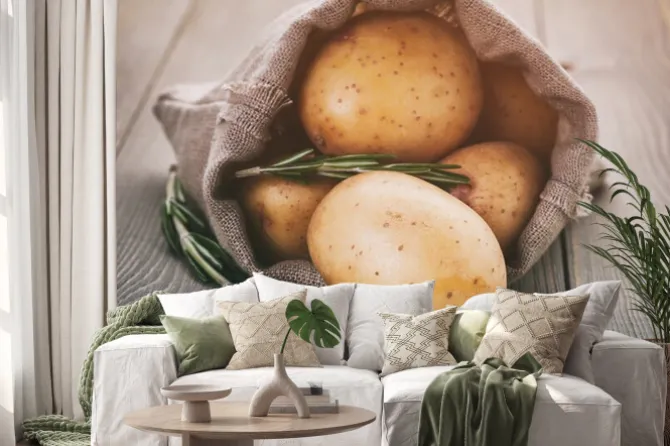 Naklejka: Ziemniaki dziecka w torbie worek z rozmarynem na stole drewna,