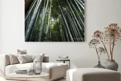 Obraz: 竹林