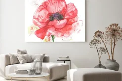 Obraz: Красный цветок, мак, иллюстрация акварелью