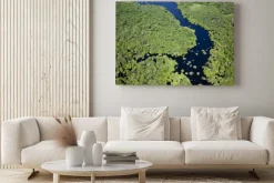 Obraz: ア マ ゾ ン 川 空 撮