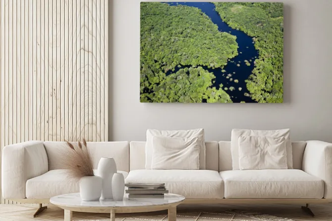 Obraz: ア マ ゾ ン 川 空 撮