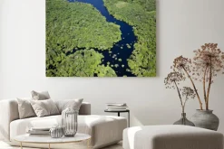 Obraz: ア マ ゾ ン 川 空 撮