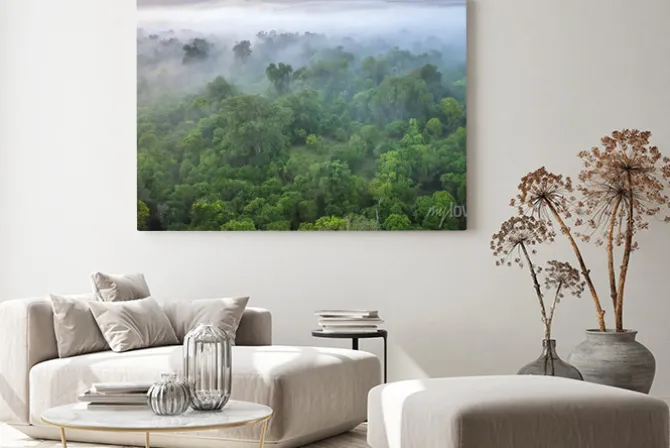 Obraz: A soft focus, aerial view of a forest on a misty morning, shot