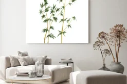 Obraz: Abstrakcyjna dzikiego bambusa drzew na białym tle. ręcznie rysowane