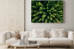 Obraz: Aerial top view of summer green trees in forest in rural finland.