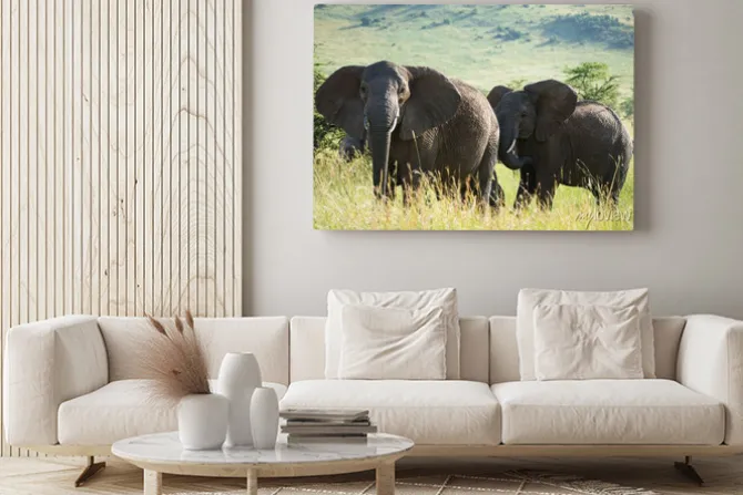 Obraz: Afrykańskie słonie na afrykańskiej sawannie
