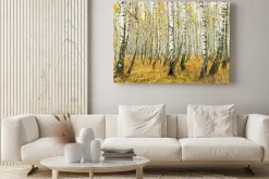 Obraz: Autumn in the birch forest - digital art