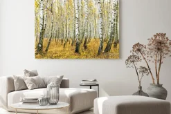 Obraz: Autumn in the birch forest - digital art