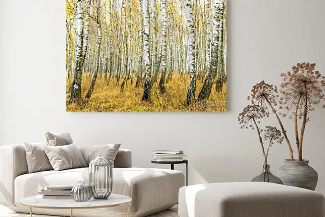 Obraz: Autumn in the birch forest - digital art