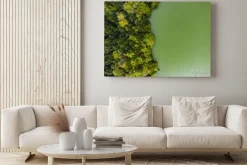 Obraz: Azores sao miguel lagoa do congro aerial drone lake lagoon green