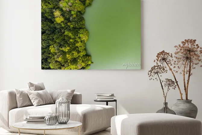 Obraz: Azores sao miguel lagoa do congro aerial drone lake lagoon green