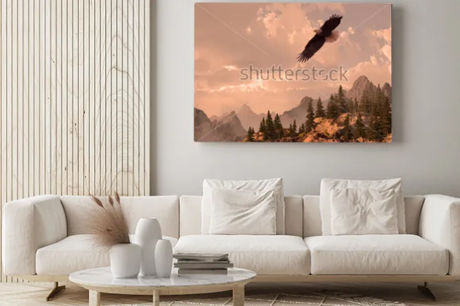 Obraz: Bald eagle soaring in the rocky mountain high country.