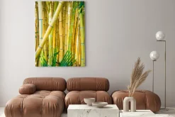 Obraz: Bamboo forest. natural background. bamboo plant