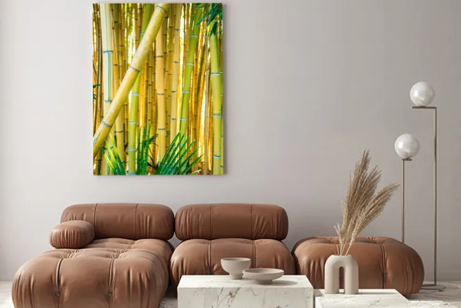 Obraz: Bamboo forest. natural background. bamboo plant