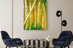 Obraz: Bamboo forest. natural background. bamboo plant