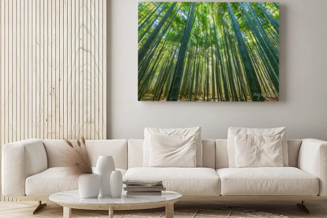 Obraz: Bambus lesie, naturalne zielone tło.