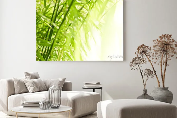 Obraz: Bambus zielone tło