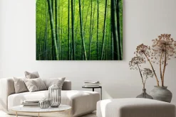 Obraz: Bambusowy czytaj drzew natury pojęcie