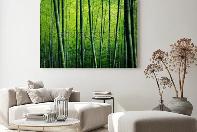 Obraz: Bambusowy czytaj drzew natury pojęcie